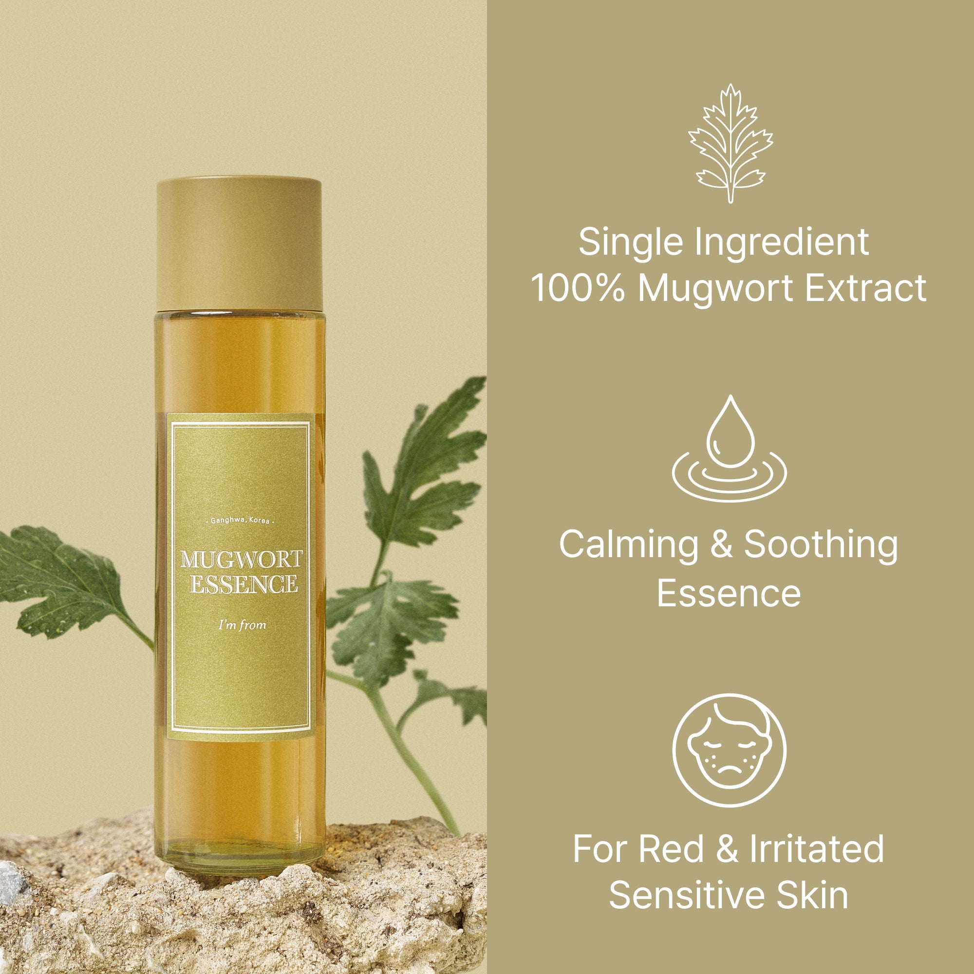 https://bo.partimefamous.com/FileUploads/produtos/skincare-coreana/essencia-tonico/mugwort_thumbnail_essence02_2000x1.jpg