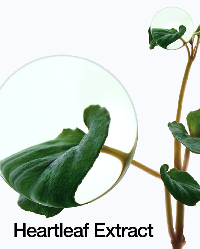 https://bo.partimefamous.com/FileUploads/produtos/skincare-coreana/essencia/anuaus_heartleaftoner_1080x1346_listing41.jpg
